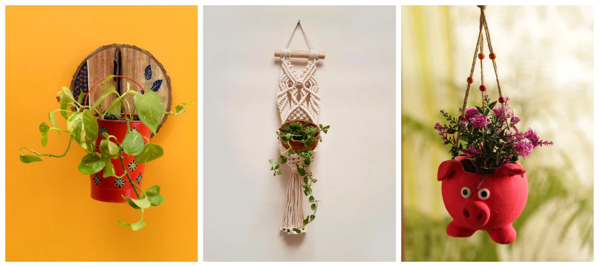 Eco-Friendly Plant Hangers - Your Bit towards a Greener Environment