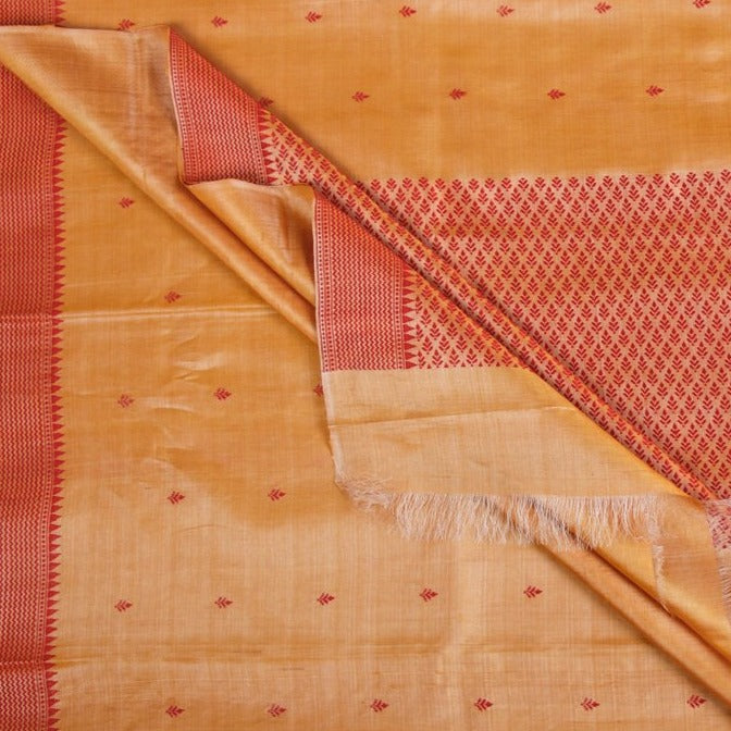 Pure Kosa Tussar Silk Handloom Jala Weave Saree